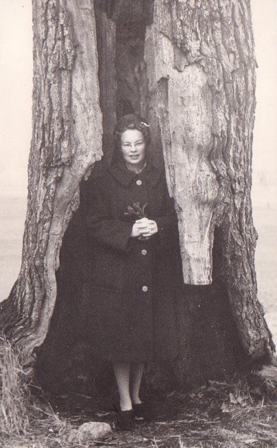 25-19621103011-Salli-PuunRaossa-Tukholma-A006N